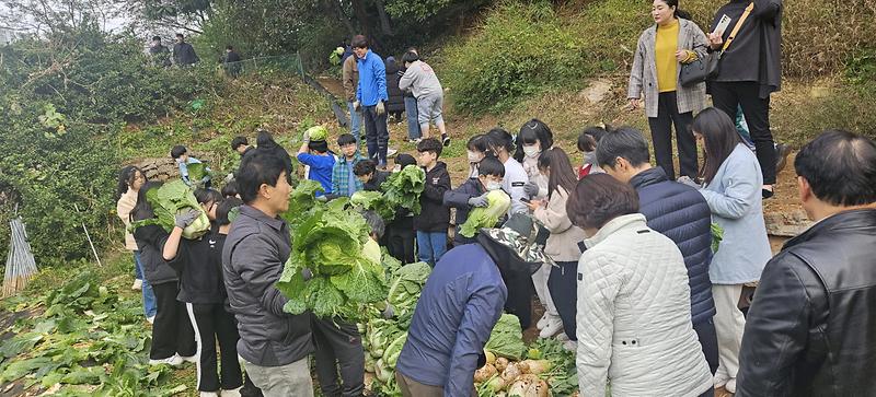 9인천가정초_사랑의_텃밭,_가좌2동_지역사회_나눔(2).jpg 이미지