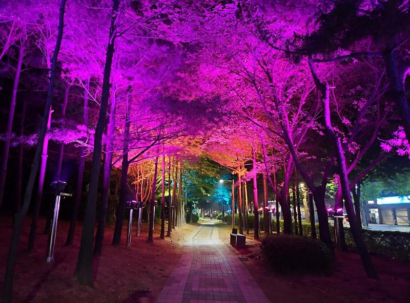 1인천_서구,_석남이음숲_테마있는_야간_경관조명_설치(2).jpg 이미지