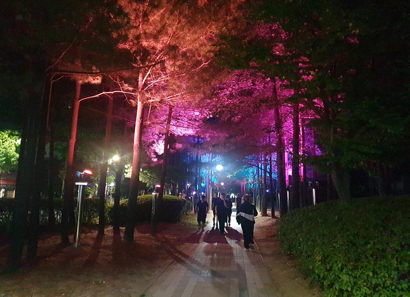 1인천_서구,_석남이음숲_테마있는_야간_경관조명_설치(4).jpg 이미지