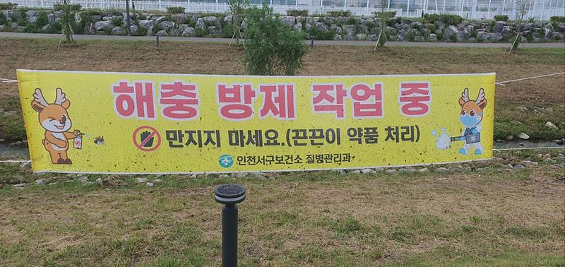 3서구,_끈끈이_현수막을_통한_친환경_방제_실시(1).jpg 이미지