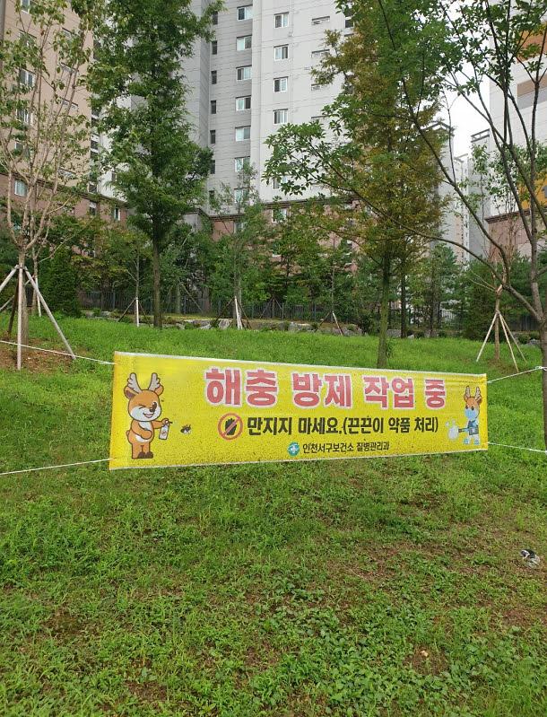 3서구,_끈끈이_현수막을_통한_친환경_방제_실시(2).jpg 이미지
