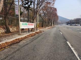 5서구,_2024년_가을철_소나무류_이동_특별단속_실시(1).jpg 이미지