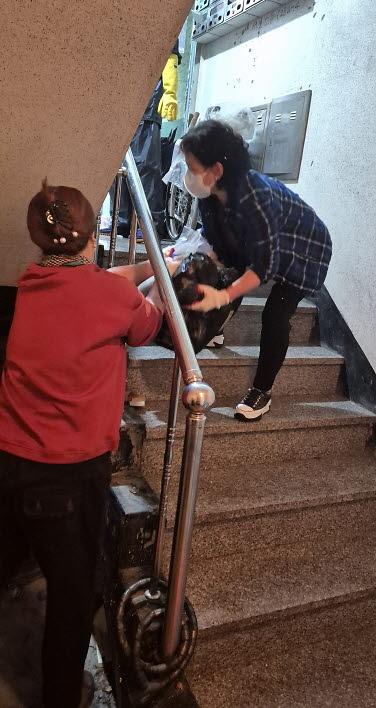 9연희동지역사회보장협의체,_독거어르신_주거환경_개선사업_실시(1).jpg 이미지
