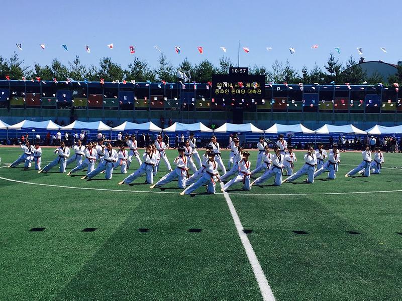 한마음대축전(태권도시범단_시범).jpg 이미지