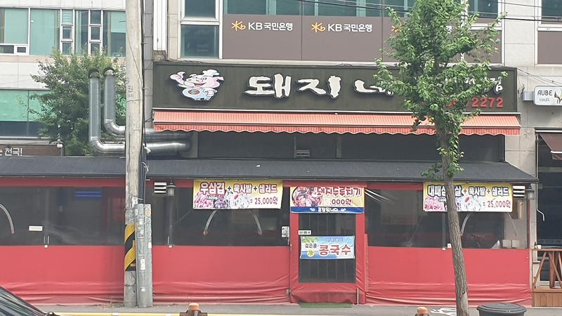 돼지네 사진