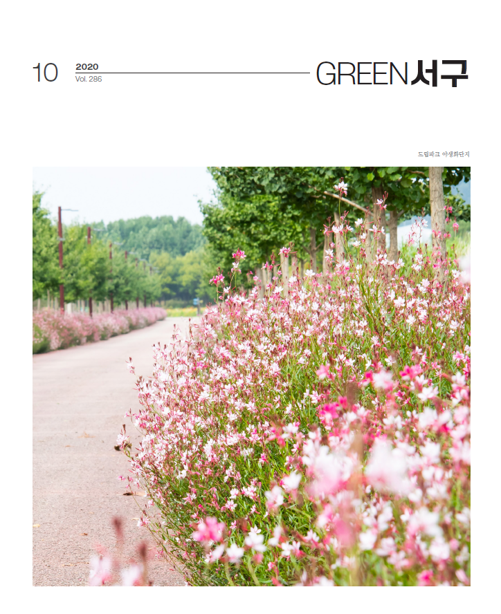 그린서구 Green 서구 10월호(제286호) 표지 이미지