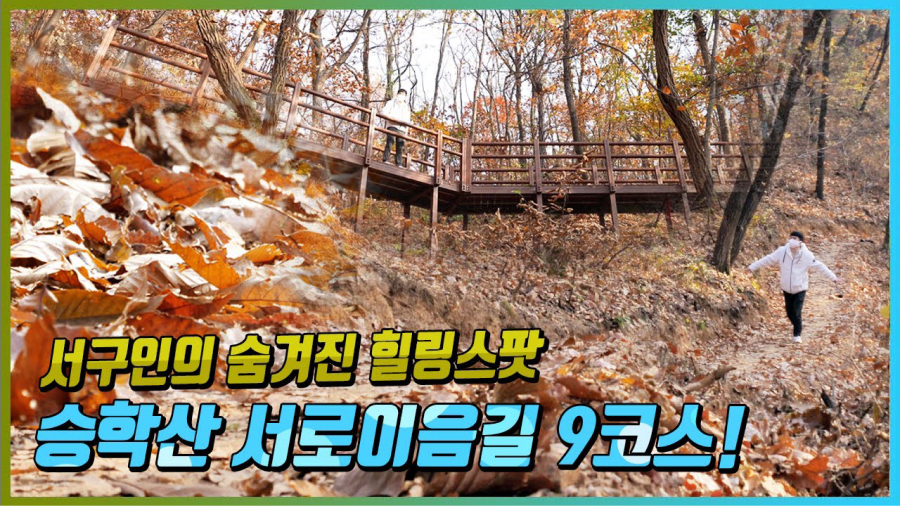숨겨진 힐링 스팟! 평평 해서 걷기 좋은 서구의 산 루원 승학산 서로이음길 9코스