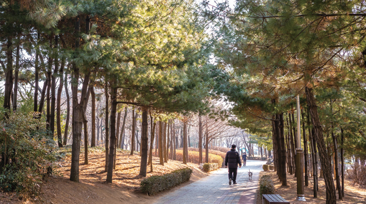 가좌이음숲 사진