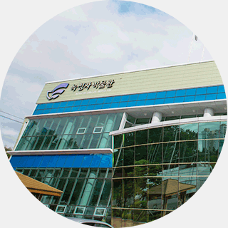 녹청자 축제 장소 사진