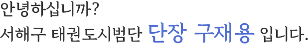안녕하십니까? 서해구 태권도시범단 단장 구재용 입니다.