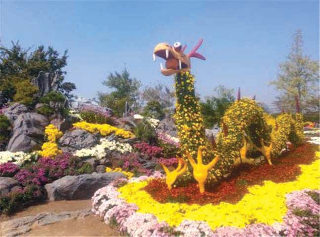 ドリームパーク菊祭り 2