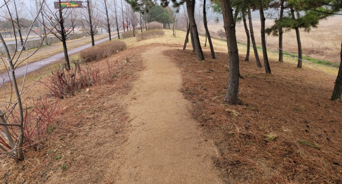청라3호 경관녹지 사진