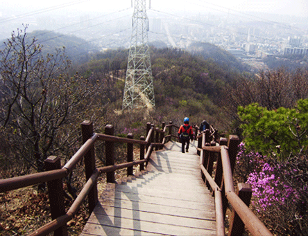 원적산등산로 사진